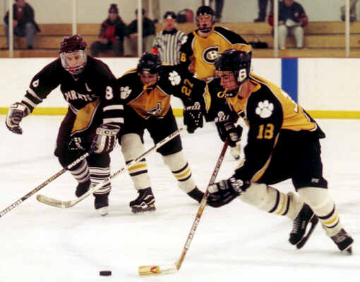 Mike Ruflin handles the puck in the Tigers' zone.