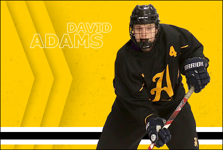 David Adams